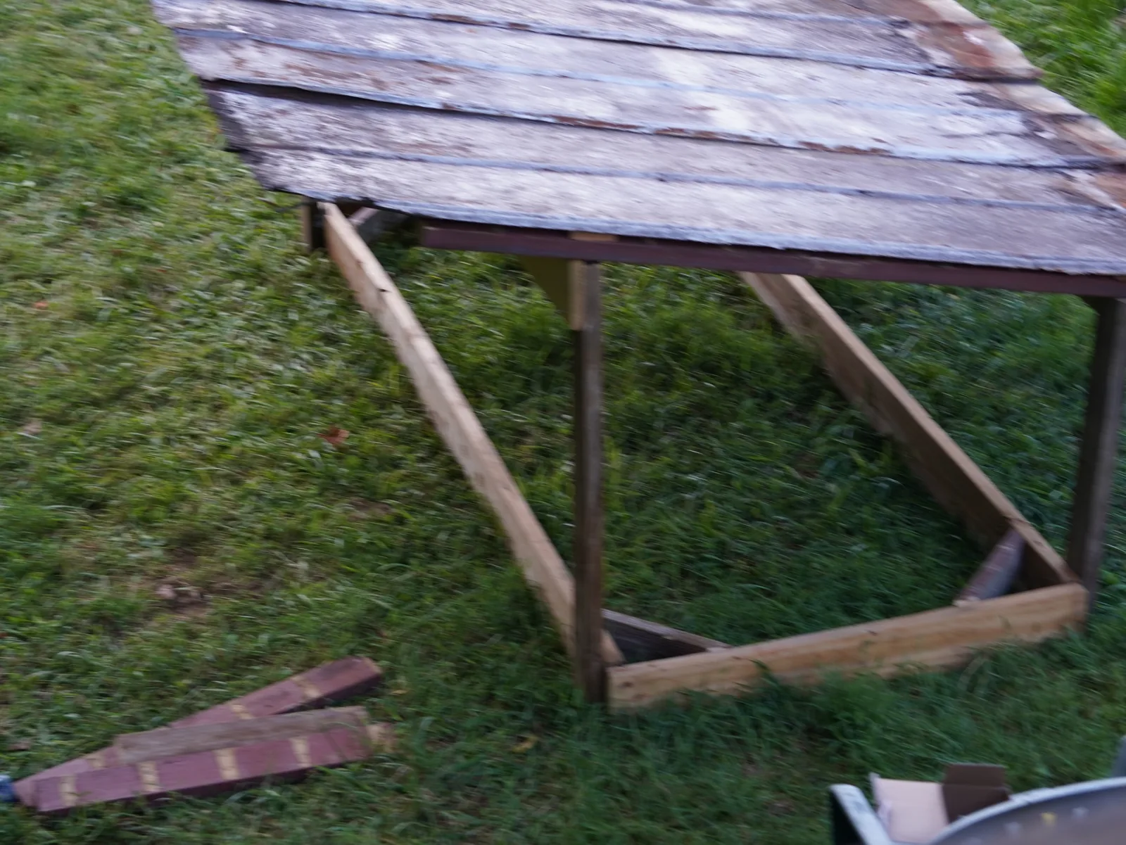 Checking the nearly finished pig shelter