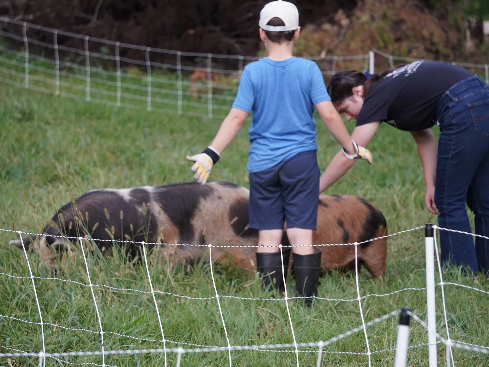 Children enjoying the Smoky Mountain landscape near the farm